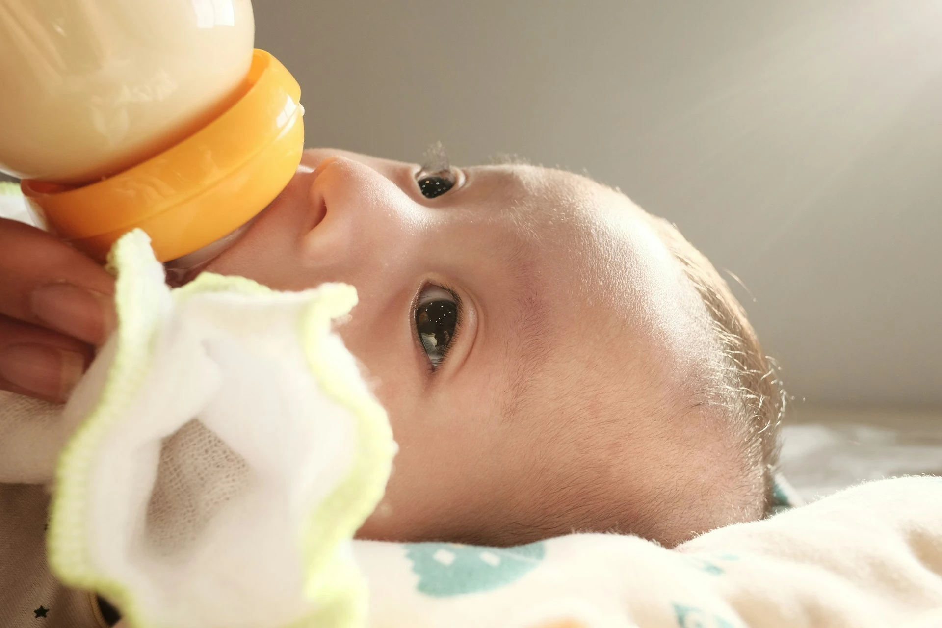 infant feeding from bottle