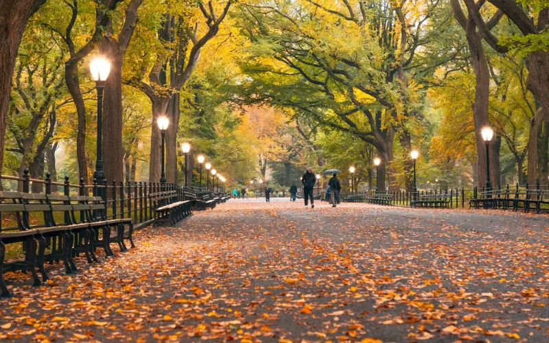 Central Park in Fall
