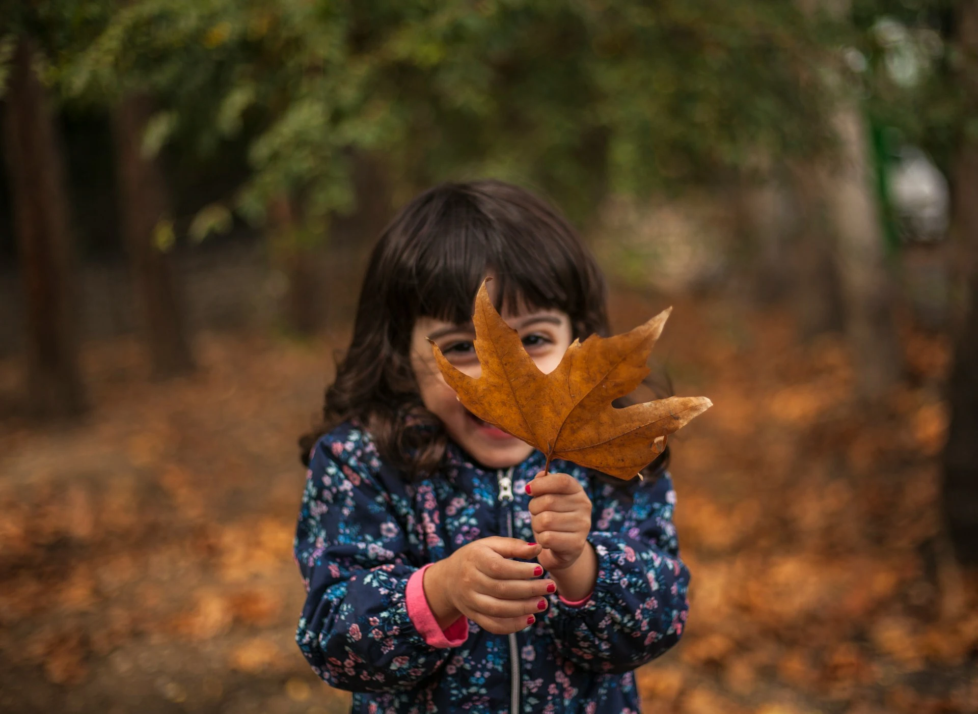 Kids playing in fall leaves